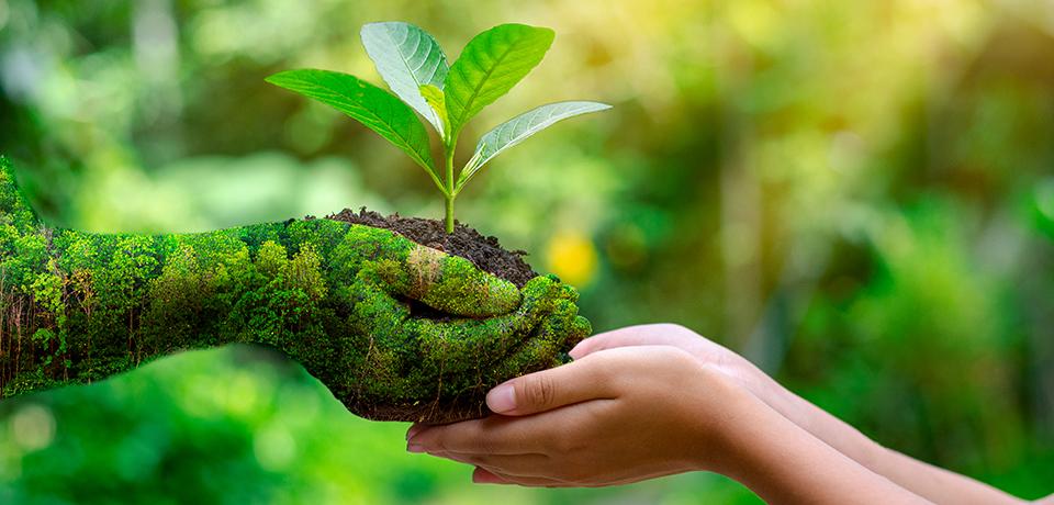 If the zero waste concept is adopted, there is a visual themed that nature embraces us. In the image, a hand made of greenery extends a sapling to a person.