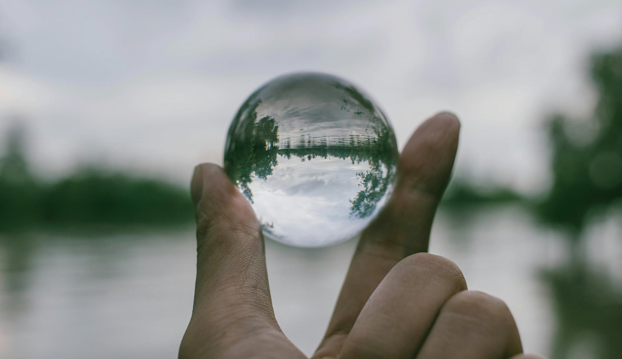 Karbon Saydamlık Projesi (CDP) Nedir?