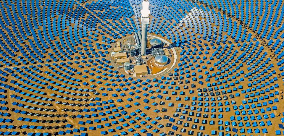 Biyomimikri: Enerji Teknolojilerinde Doğadan İlham Alan Tasarımlar